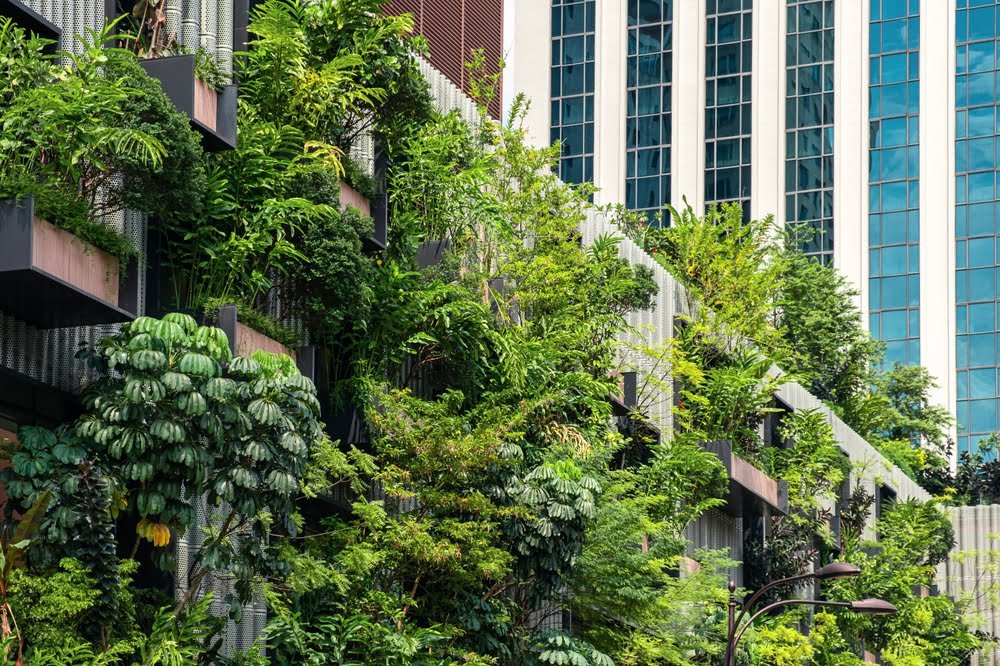 Building facade with green plants growth on the wall.