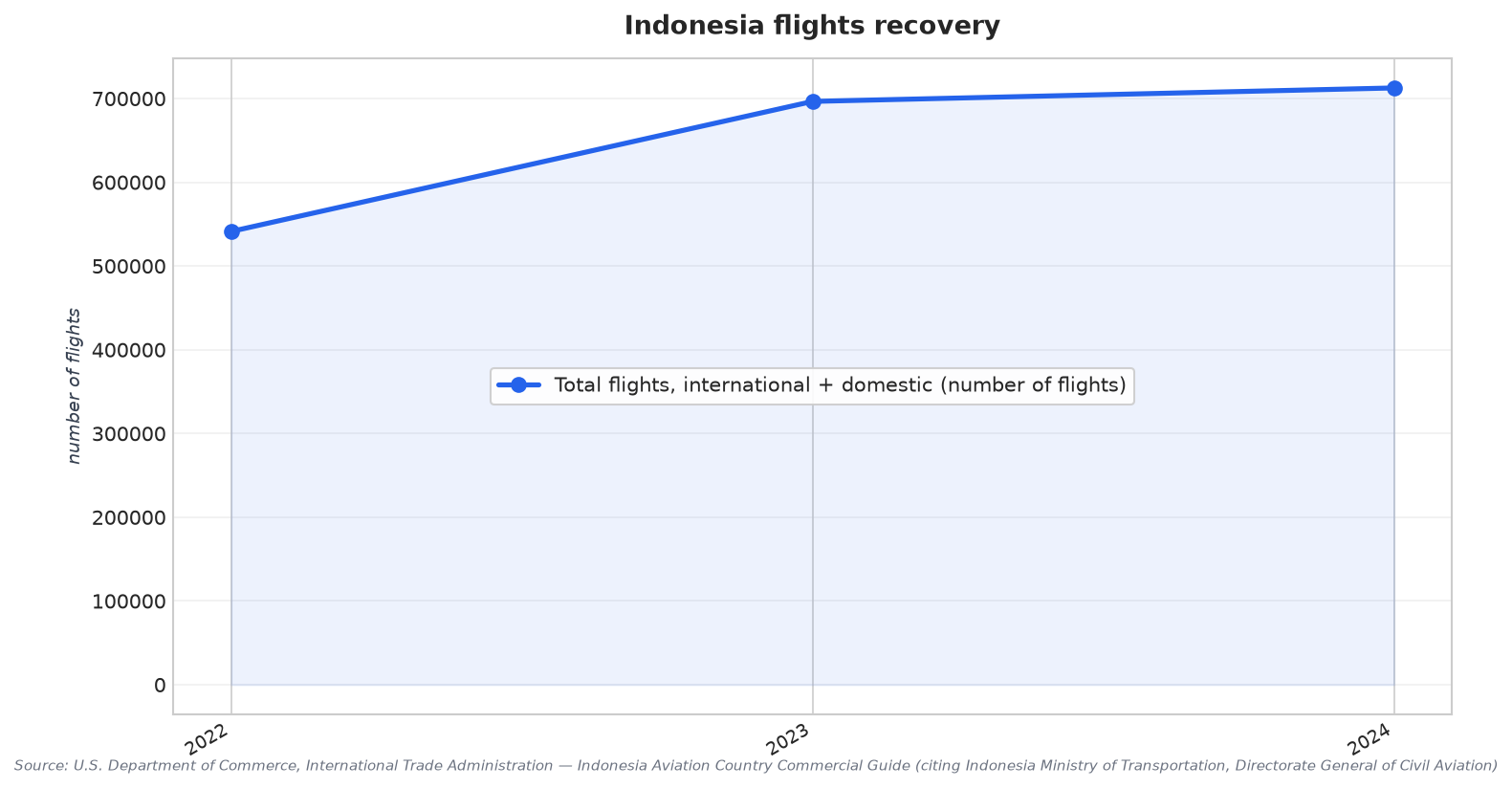 Indonesia flights recovery